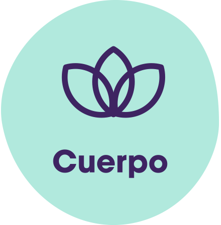 Redonda cuerpo texto